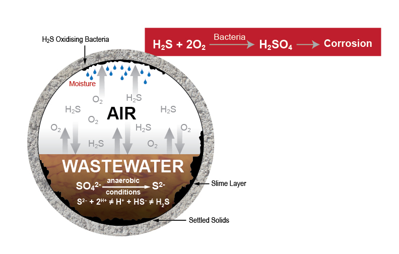 microbial corrosion xypex waterproofing wastewater